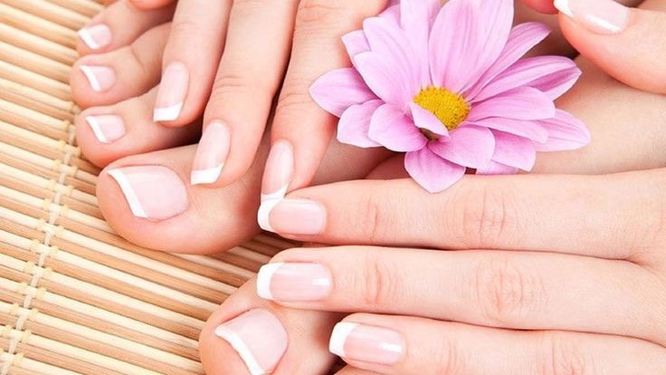 Unutrašnjost Ceca Cosmetics